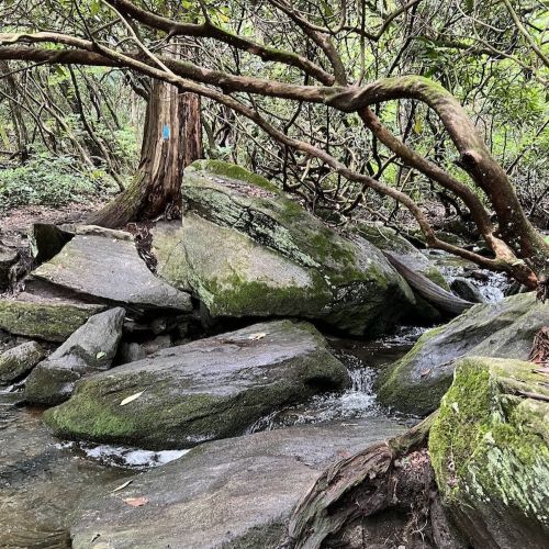 Rocky Stream