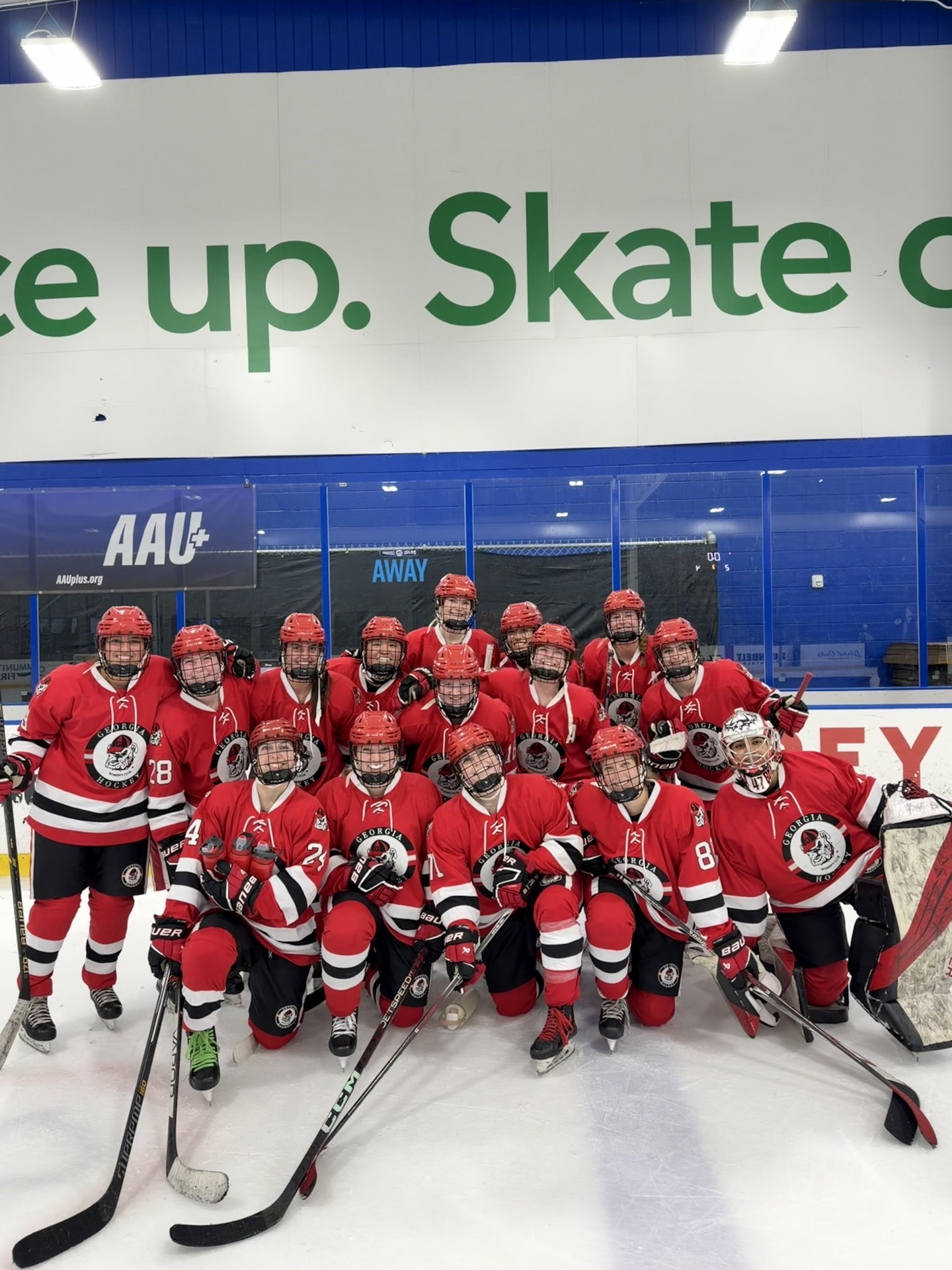 A photo of a hockey team on the ice.